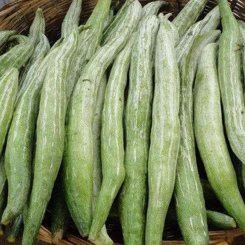 Snake Gourd - Preserving Compound: Cool & Dry Places