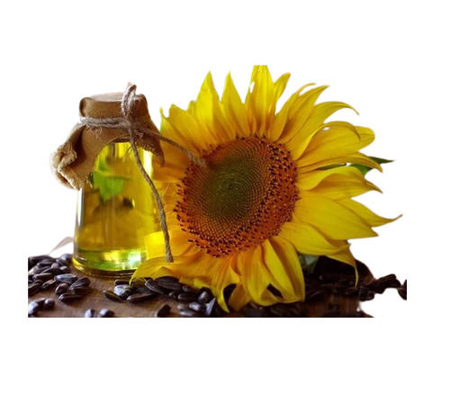 Sunflower Oil