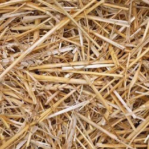 Wheat Straw - Agro Waste Material, Light Brown Color | Natural, Eco-Friendly, Biodegradable, Waterproof, Food-Safe & Easy to Clean
