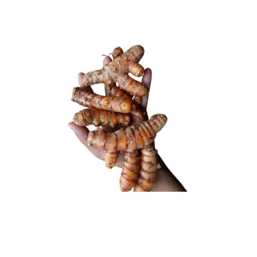 Organic Fresh Turmeric - Natural Finger Form, 50 Kilograms, Yellow | 100% Organic, Anti-inflammatory, Rich In Curcumin, Boosts Immunity, Aids Digestion
