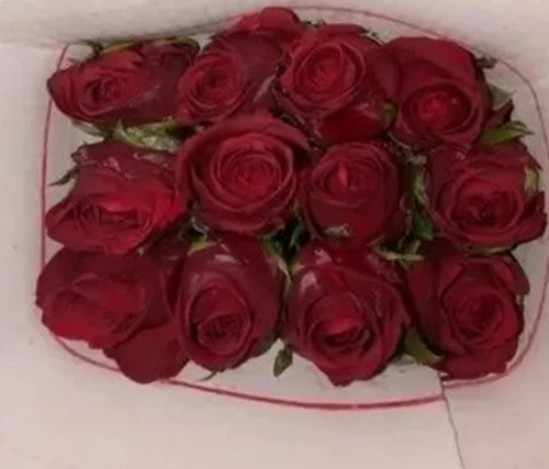Natural Red Rose - Fresh Natural Red Flower | Eco-Friendly, Perfect for Birthdays, Weddings, Festivals, and Parties
