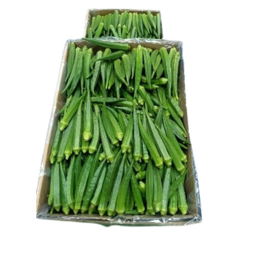 Fresh Okra - Preserving Compound: Nil