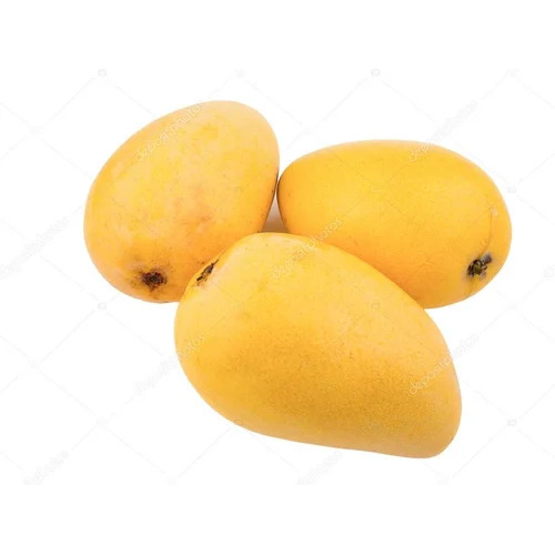 Ratnagiri Mangoes - Color: Yellow