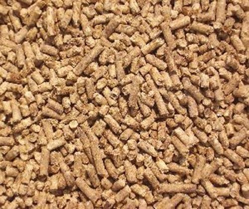 Layer Poultry Feed