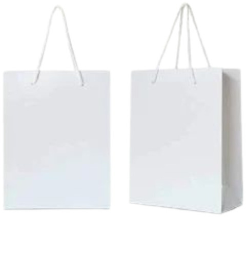 Plain White Paper Carry Bag - Feature: Moisture Proof