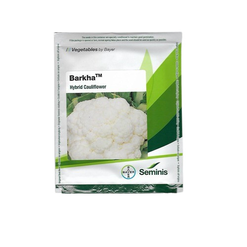 White Cauliflower Seeds - Ash %: 100