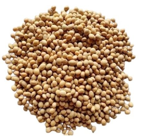 Soyabean Seeds - Cultivation Type: Organic