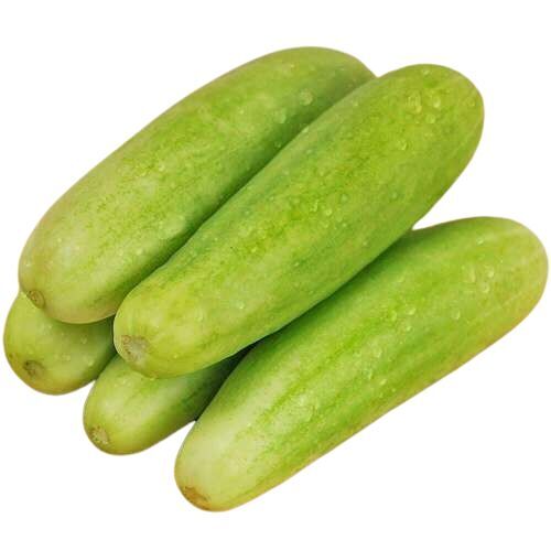 Natural Cucumber