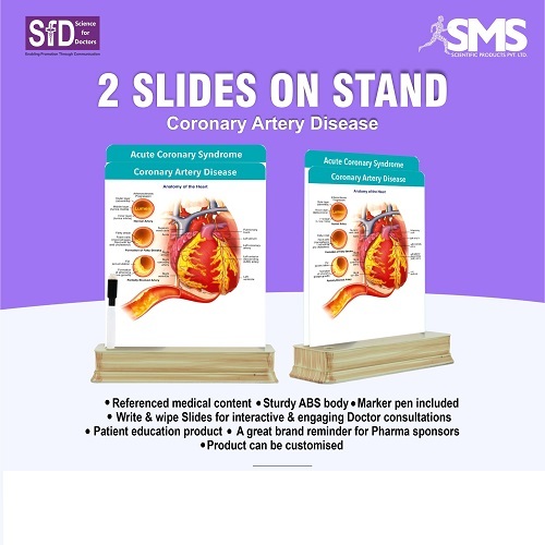 Medical Education Tool - ABS Plastic, Write & Wipe Slides | Sturdy, Portable Design with Marker Pen for Interactive Patient Consultations