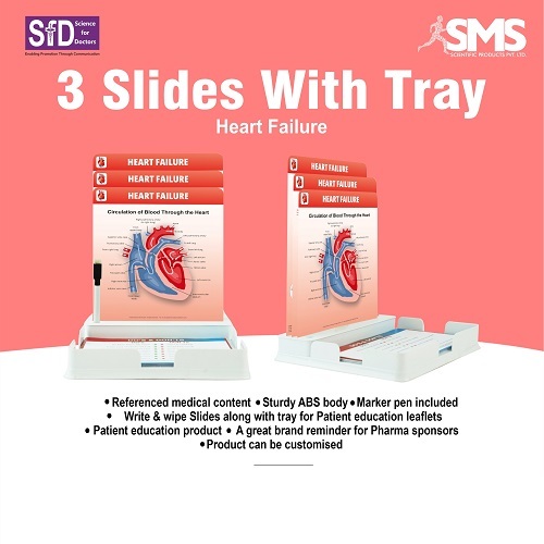 3 Slides With Tray - Durable ABS Plastic Rectangular | Educational Charts with Marker Write & Wipe Surface Convenient Accessory Tray Customizable for Patient Engagement