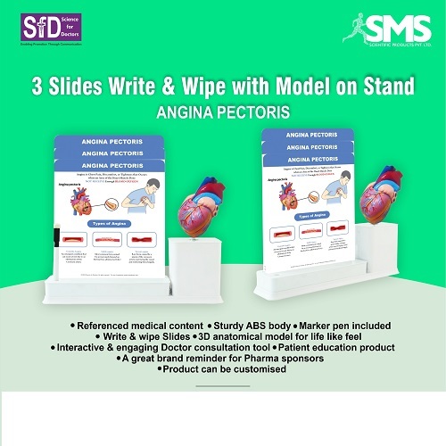 3 Slides Write & Wipe With Model On Stand - Angina Pectoris