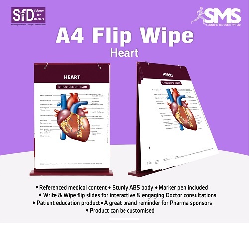 A4 Write & Wipe Flip Slides - Durable ABS Body, Accurate Medical Content & Marker Pen for Engaging Doctor-Patient Interactions