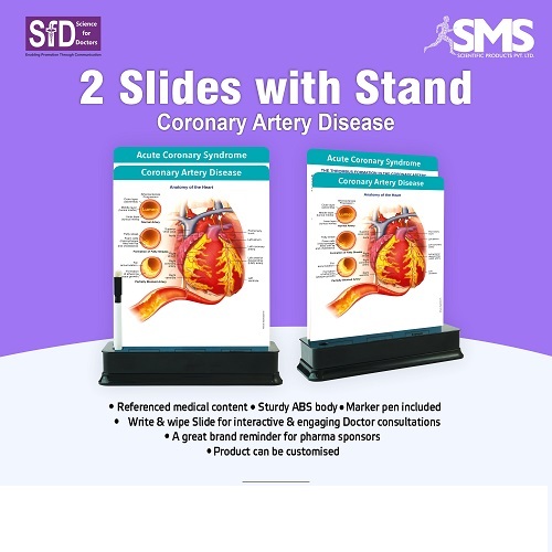 2 Slides With Stand - ABS Plastic, Rectangular Design | Durable Build, Multiple Colors, Clear Visual Aids for Patient Consultations