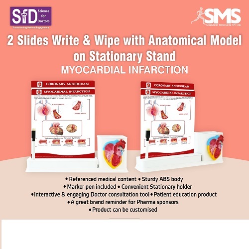 2 Slides Write & Wipe with Anatomical Model on Stationary Stand - Myocardial Infarction