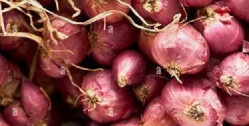 Fresh Red Onion