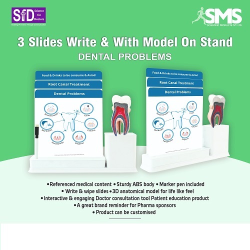 3 Slides Write And Wipe With Model On Stand - Durable ABS Material Writable & Erasable Educational Slides Integrated Dental Model for Enhanced Visualization