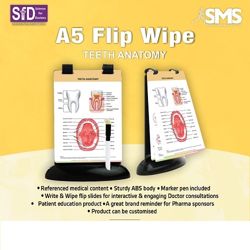 A5 Flip Wipe - Durable ABS Plastic, Interactive Rectangular Educational Charts for Patient Engagement in Dental Anatomical Understanding | High-Quality Clear Illustrations, Write & Wipe Feature, Portable Design