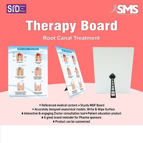 Interactive Educational Therapy Board - ABS Plastic, Rectangular Design | Writable and Erasable Surface, Clear Anatomical Illustrations, Portable for Patient Education
