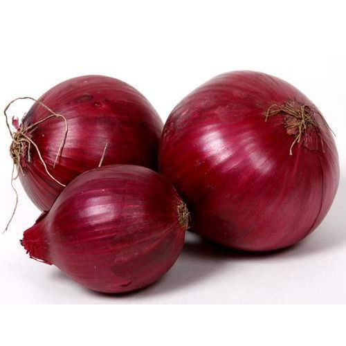 Fresh Red Onion - Shape: Round