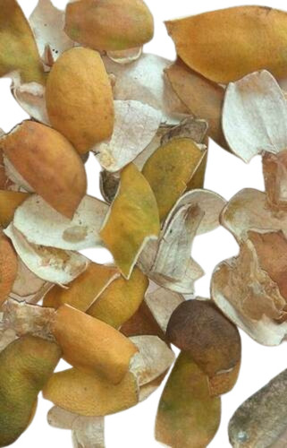Dried Orange Peel - Fresh And Light Yellow, Herbal Extract Blend For Body Care