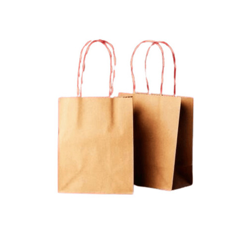 Paper Carry Bag - Kraft Paper, Standard Size, Brown Color | Eco-Friendly, Biodegradable, Moisture Proof, Antistatic, Rope Handle, Aqueous Coating