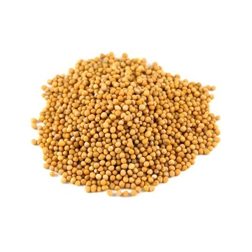 Mustard Seeds - Premium Quality Organic, Dried Yellow Oil Seeds | Preservative-Free, Nutrient Enriched, Healthy Attributes