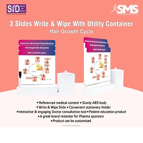 3 Slide Write Wipe With Utility Container - Hair Growth Cycle