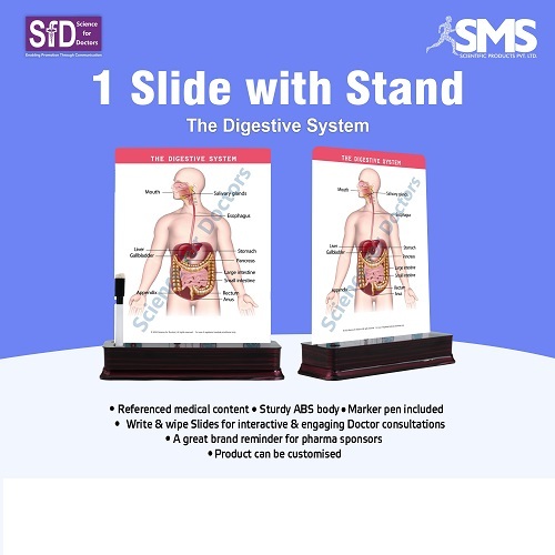 1 Slide With Stand - Abs Plastic, Rectangular Shape, Multiple Colors | Interactive Educational Content For Easy Teaching & Learning
