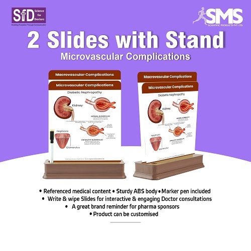 Dual Slide Chart - Durable ABS Plastic, Compact Rectangular Design | Sturdy Stand Design, Write-and-Wipe Functionality, Clear Visual Illustrations for Medical Education