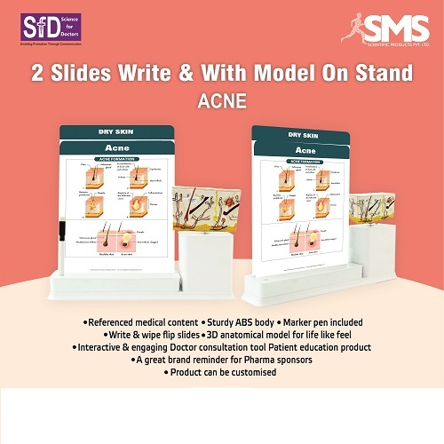 Interactive Acne Education Kit - ABS Plastic Multiple Colors | 2 Reusable Write & Wipe Slides 3D Skin Model on Stand