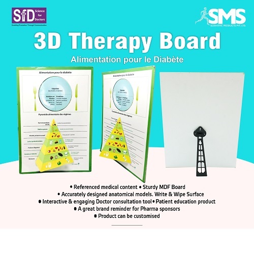 3D Therapy Board - ABS Plastic Rectangular | Includes Accurate Medical Content Sturdy Build 3D Anatomical Models Write & Wipe Board