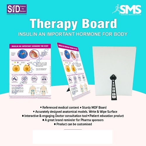 Therapy Board - Insulin An Important Hormone For Body - Suitable For: ]
