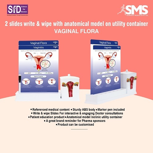 Write & Wipe Slide - Durable ABS Plastic Rectangular Shape | Anatomical Model Convenient Utility Container Marker Pen Included