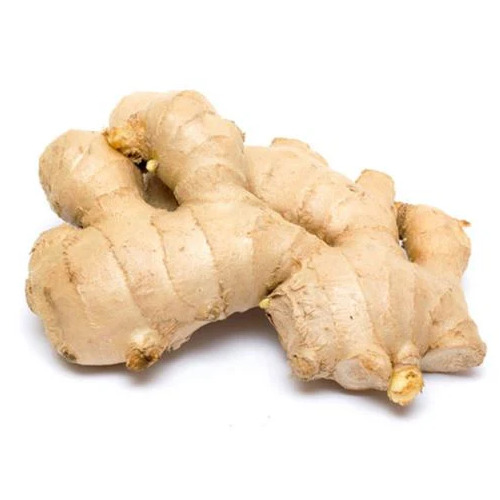 Fresh Ginger - Food Grade Rich in Taste Healthy and Nutritious 7 Days Shelf Life