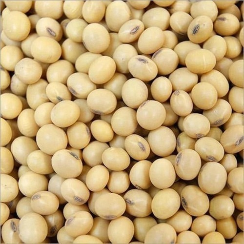 Organic Soybean - Granular Form, Yellow Color, 100% Purity | High in Protein, Health Friendly, Preservatives Free, Pesticide Free