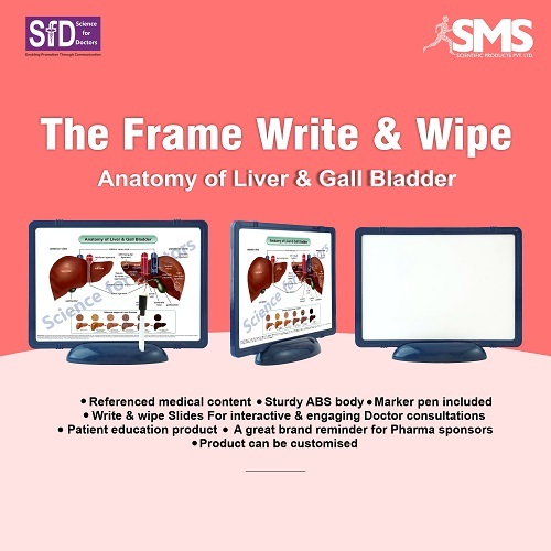 The Frame Write & Wipe - Rectangular Plastic Chart  | Interactive Write & Wipe Surface, Accurate Anatomical Illustration, Marker Pen Included, Hygienic & Easy to Clean
