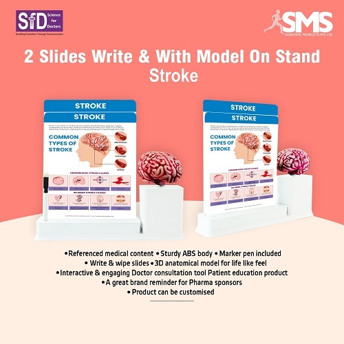2 Slides Write and Wipe with Model On Stand - Stroke