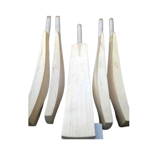 Wood Cricket Bat - Age Group: Adults