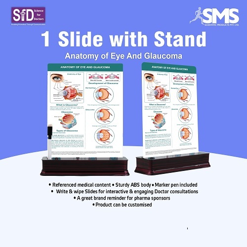 Educational Eye Anatomy Chart - Durable ABS Material, 12x9 Inches, Multi-Color Graphics | Interactive Write & Wipe Function, Compact Stand for Medical Use