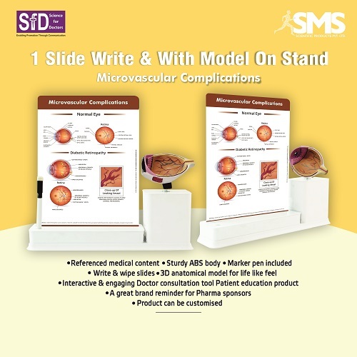1 Slide Write And Wipe With Model On Stand -Microvascular Complications