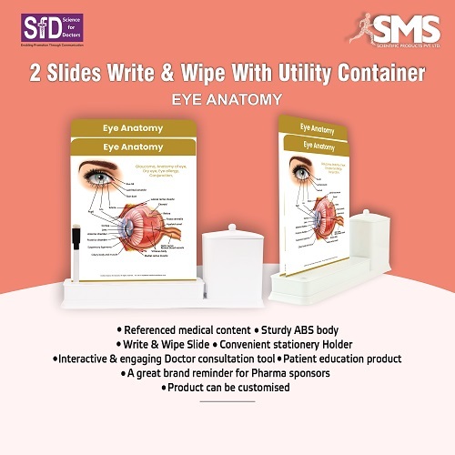 2 Slide Write Wipe With Utility Container - Eye Anatomy - Feature: ]