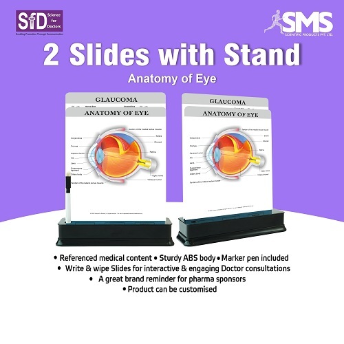 Anatomy of the Eye Interactive Learning Tool - Durable ABS Material, Write & Wipe Rectangular Slides with Marker Pen Included, Portable Medical Education Charts