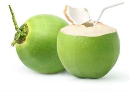 Solid Trimmed Tender Coconut - Color: Green