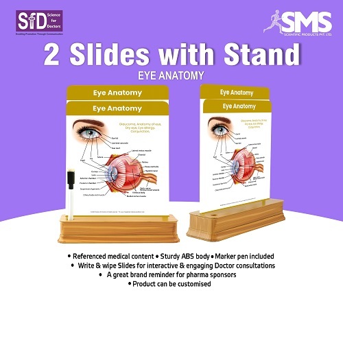 2 Slides With Stand - Eye Anatomy