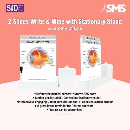 2 Slides Write & Wipe with Stationary Stand - Anatomy of Eye