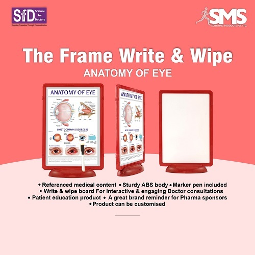 The Frame Write & Wipe - Anatomy Of Eye - Material: ]