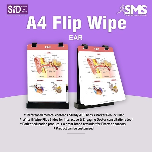 A4 Flip Wipe - Durable ABS Interactive Educational Tool for Medical Consultations | Referenced Medical Content Write & Wipe Flip Slides Marker Pen Included