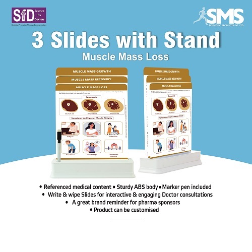 Interactive Write-and-Wipe Educational Slides - Sturdy Plastic, 3 Rectangular Charts | Clear Visuals on Muscle Mass Loss, Portable Design with Support Stand