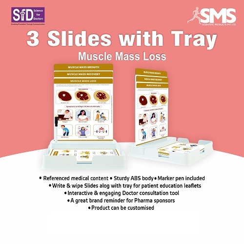 Therapy Board - MDF Material Rectangular Shape | Portable Interactive Write & Wipe Surface Anatomical Models for Patient Education