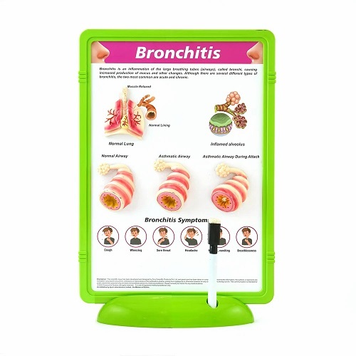 The Frame Write & Wipe - Bronchitis - Material: [